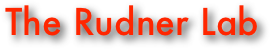 The Rudner Lab